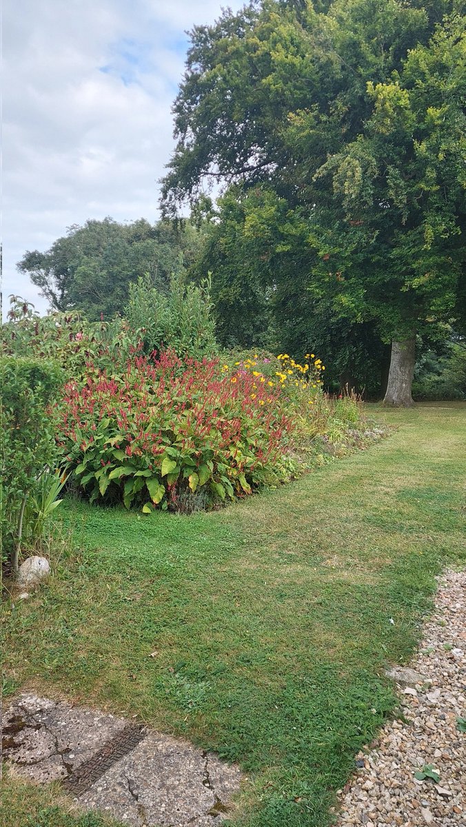 ControlTowerNC's tweet photo. Good morning from The Control Tower Bed and Breakfast.... autumnal feeling creeping into the garden. 

hello@controltowernorfolk.uk for availability and to book. 

https://t.co/dD8gZJNmq6

#autumn #bedandbreakfast #ControlTowerStyle https://t.co/8UYb5L6XaR