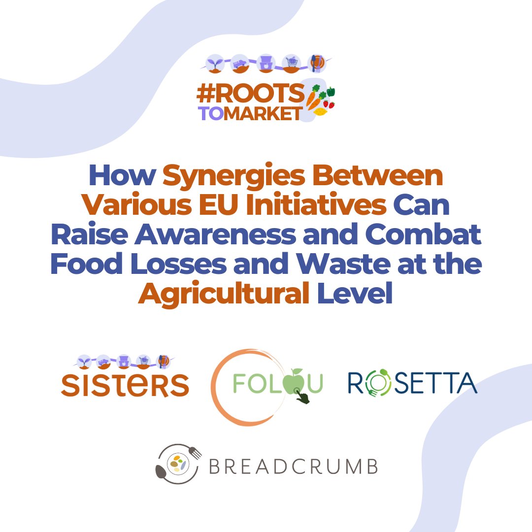 🌍 Synergy in Action!  Discover how ROSETTA together with <a href="/FOLOU_eu/">FOLOU</a>  , <a href="/Breadcrumb_HE/">Breadcrumbproject</a>  and <a href="/sisters_eu/">SISTERS</a>  are driving change for a more sustainable food system!
🚜 Read more about our collaborative efforts in our latest blog post!
sistersproject.eu/eu-initiatives…