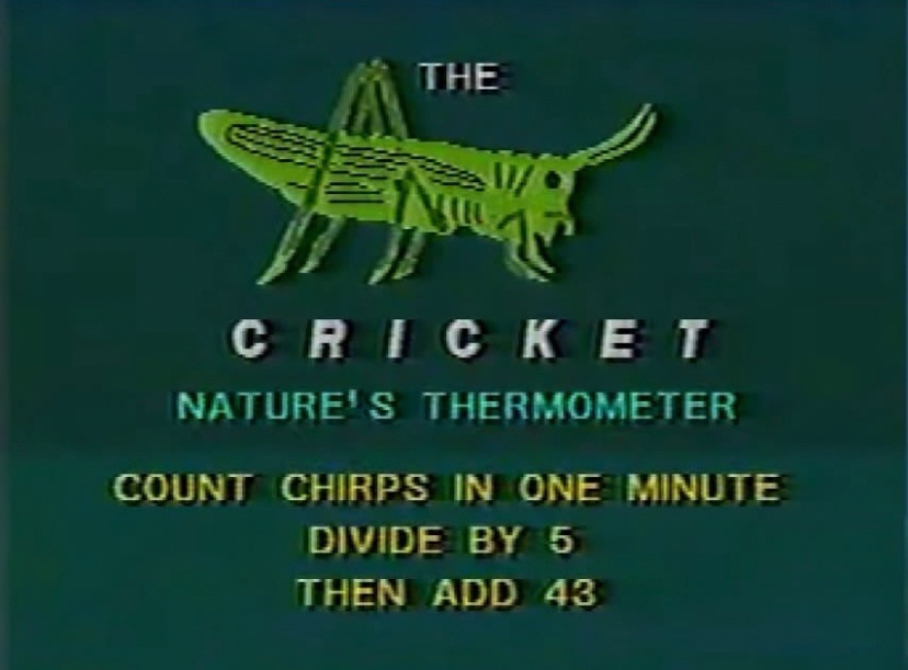 Z. Doom 🍒 (@world0fecho) on Twitter photo 