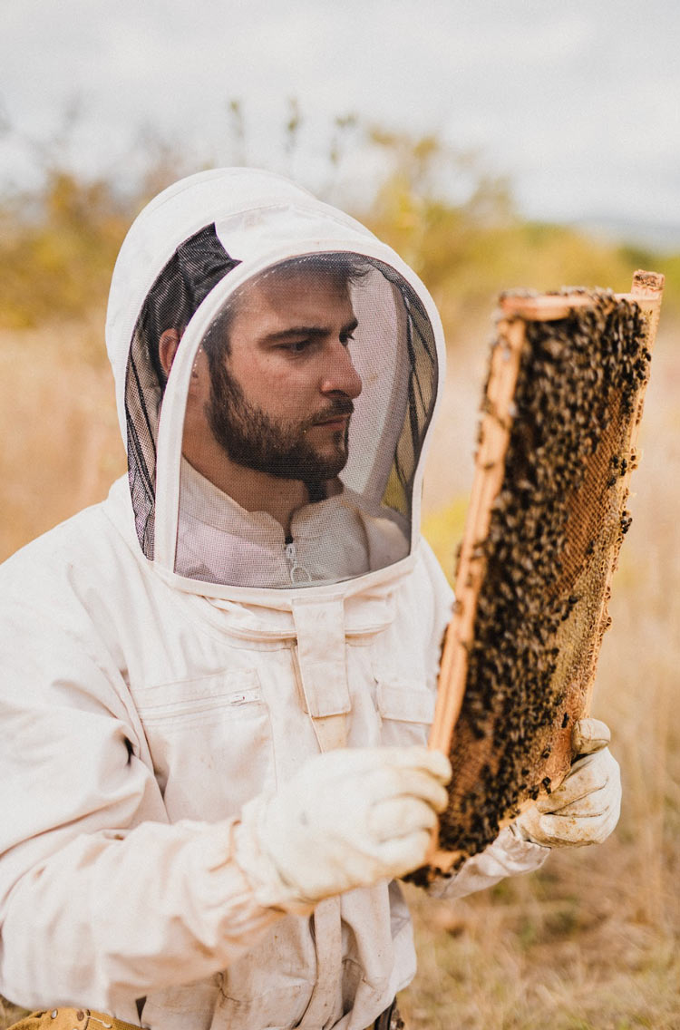 Portrait d’apiculteur aventurier : Alban Mauzac, en vélo de Toulouse à Niort ecolopop.info/2024/09/portra…