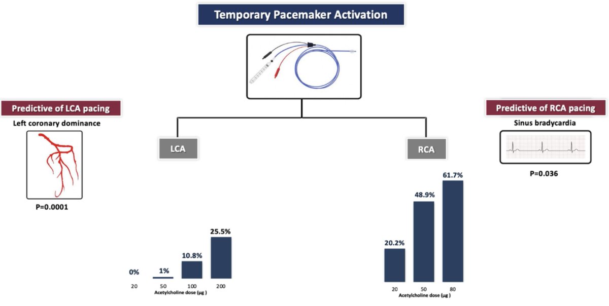 International Journal of Cardiology Heart&Vasc (@ijc_heart_vasc) on Twitter photo 🩺🫀 New research:
1️⃣ Consider temporary pacemaker during ACh provocation testing
2️⃣ Backup pacing common in RCA tests, especially with sinus bradycardia
3️⃣ High ACh doses & left coronary dominance increase LCA test pacing
🔎 learn more: bit.ly/3MEm8hm
<a href="/RajanRehan23/">Rajan Rehan</a> 🩺🫀 New research:
1️⃣ Consider temporary pacemaker during ACh provocation testing
2️⃣ Backup pacing common in RCA tests, especially with sinus bradycardia
3️⃣ High ACh doses & left coronary dominance increase LCA test pacing
🔎 learn more: bit.ly/3MEm8hm
<a href="/RajanRehan23/">Rajan Rehan</a>