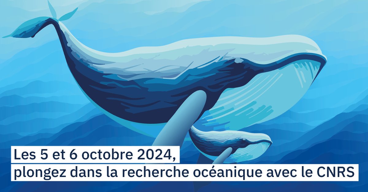 🐋 Mieux comprendre les chants de la mer
Retrouvez Isabelle Charrier et Chloé Huetz au stand CNRS du village des sciences  Paris-Saclay les 5 et 6 octobre pour en apprendre plus sur les vocalisation d'animaux marins prises sur le terrain !
▶iledefrance-gif.cnrs.fr/fr/evenement/o…
