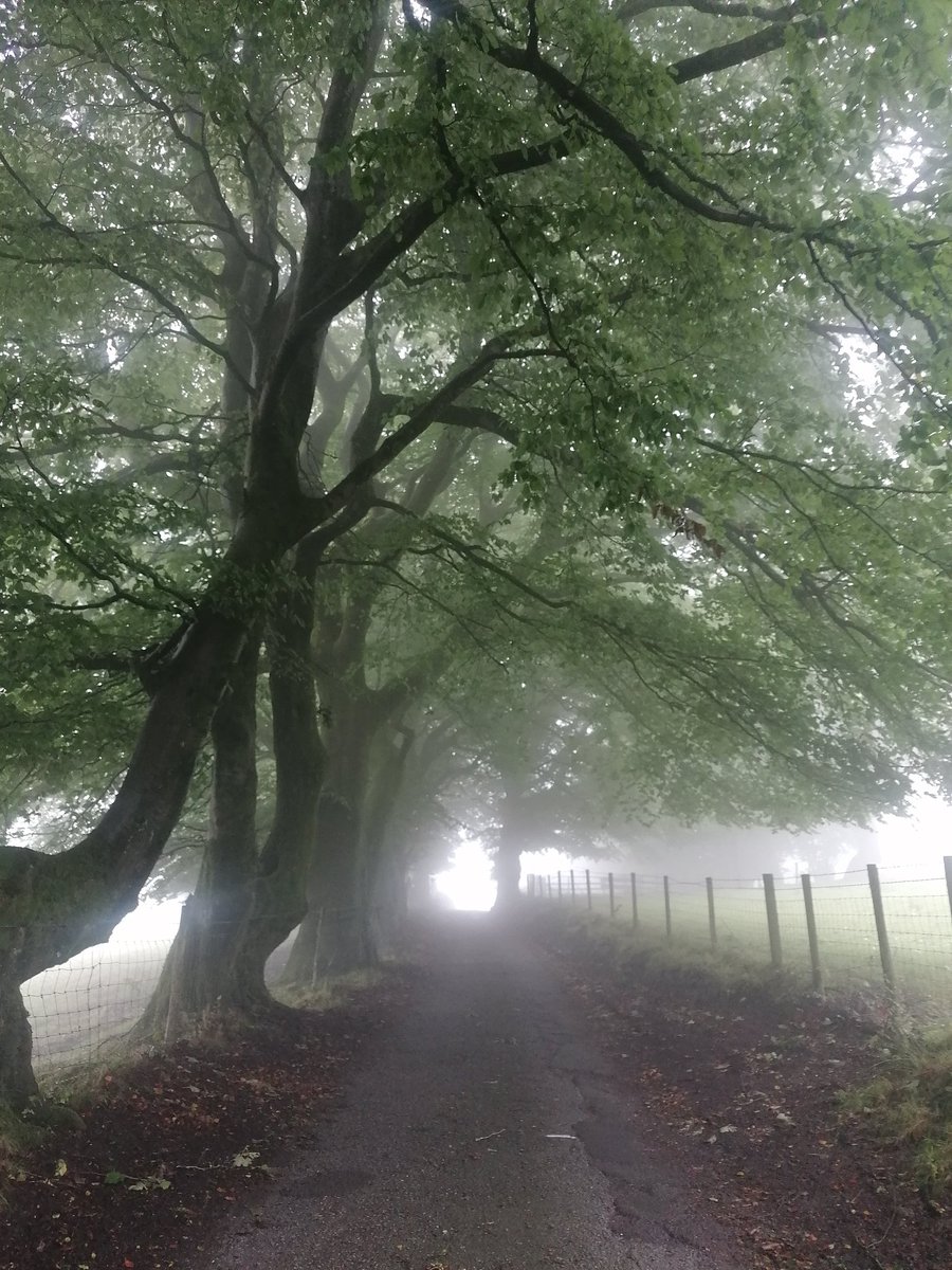 Thepopela's tweet image. Half Marathon 47/52, #5left finish line getting closer🙏😁 raising money for #hoperescue 🐾 #running #trailrunning