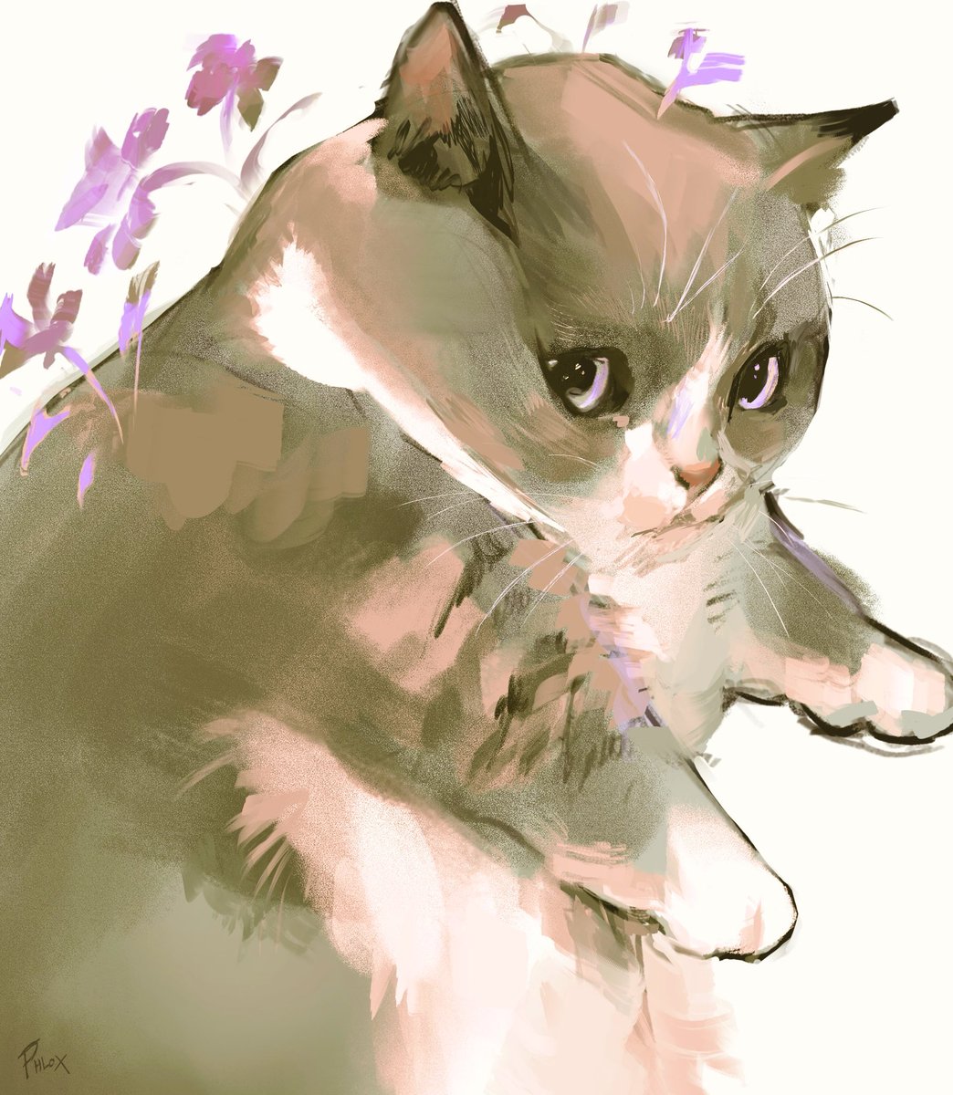 phlox_ofbirds's tweet image. Little fat cat drawing to keep the art-block demons away✨