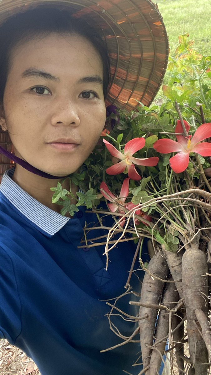 Ngọc Bích | Selina | NCC0026 tweet media