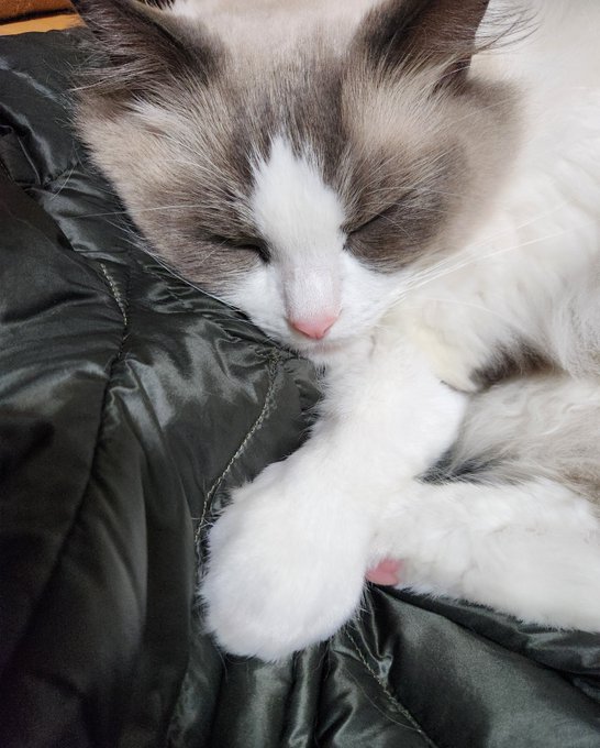 ナンナ 良いおててだね 