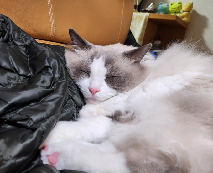 ナンナ そんな顔できたのかい

 -_- 