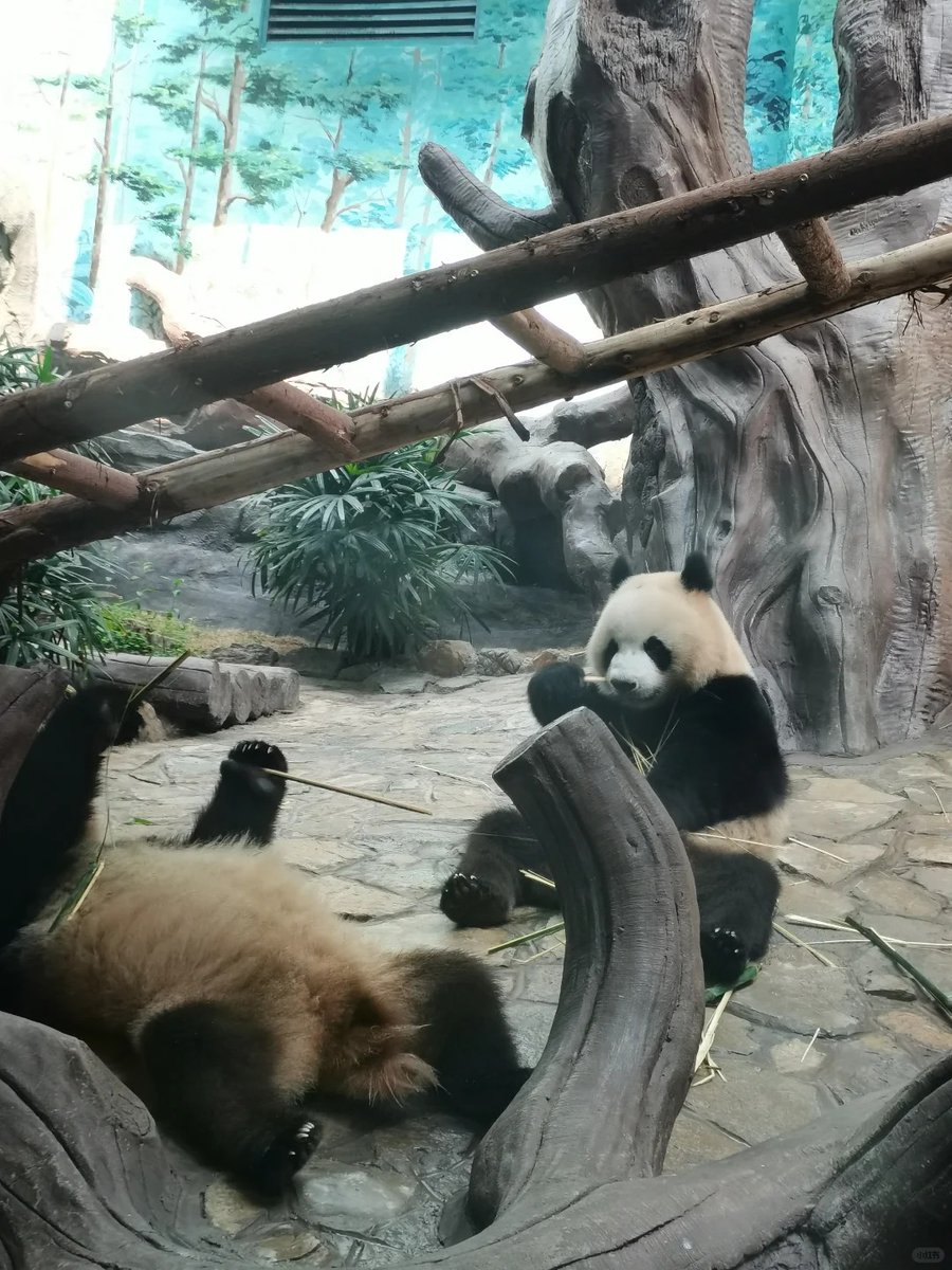DYongchuan's tweet photo. "Tired of friends asking about the #Yongchuan #LocaJoy? It's not Disney, I promise! #NotDisney" https://t.co/jUHsGVOs0p