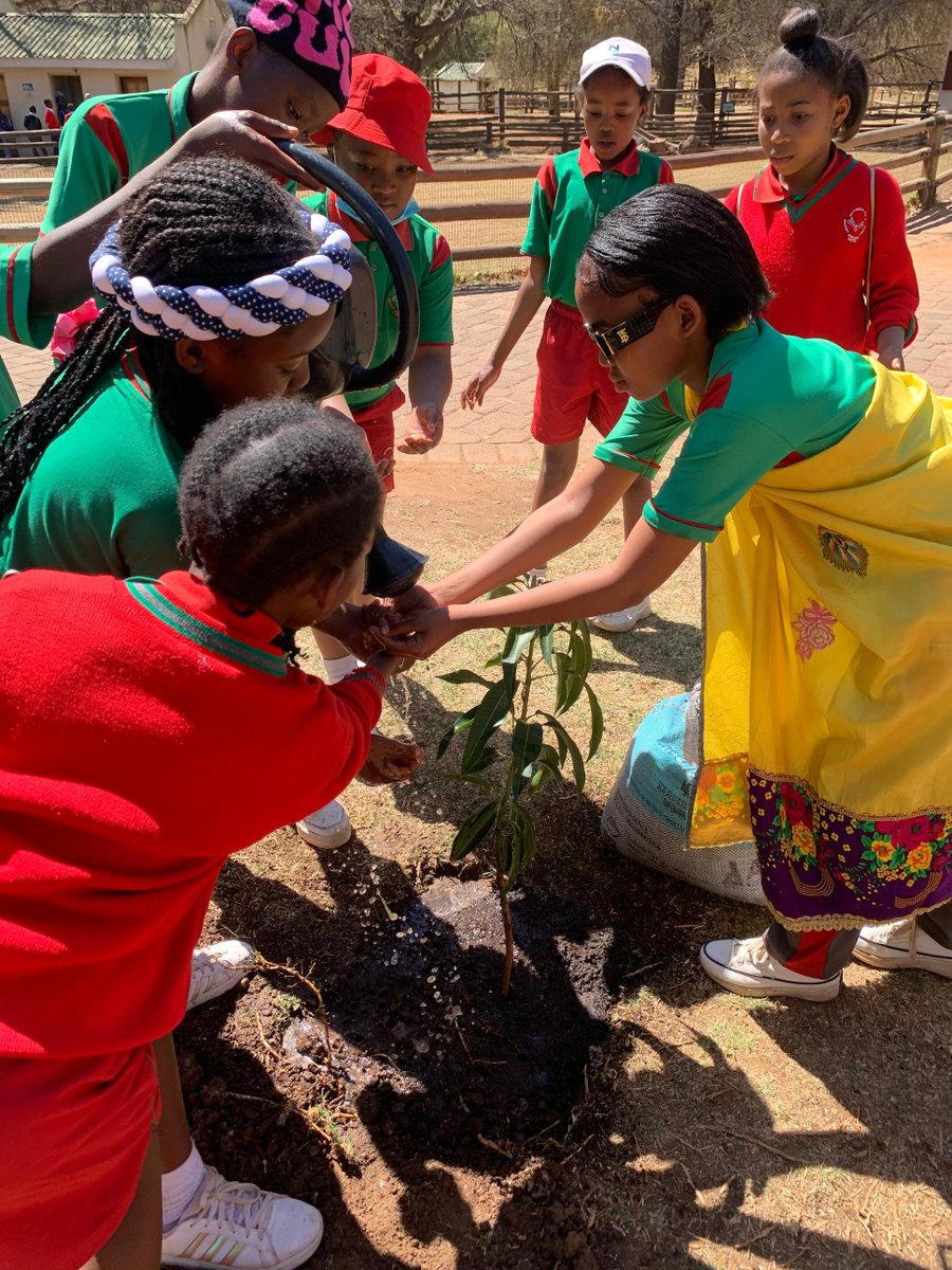_fatsonthite's tweet image. Getting our hands dirty 🤲🏿🌱 @JoburgParksZoo 

I appreciate the kind invitation from Mr. Nathi Mvula and the Johannesburg Zoo staff. As a @missearth_sa  delegate, it was an amazing opportunity to plant trees and interact with school pupils in honour of Arbour Week.

#Missearthsa