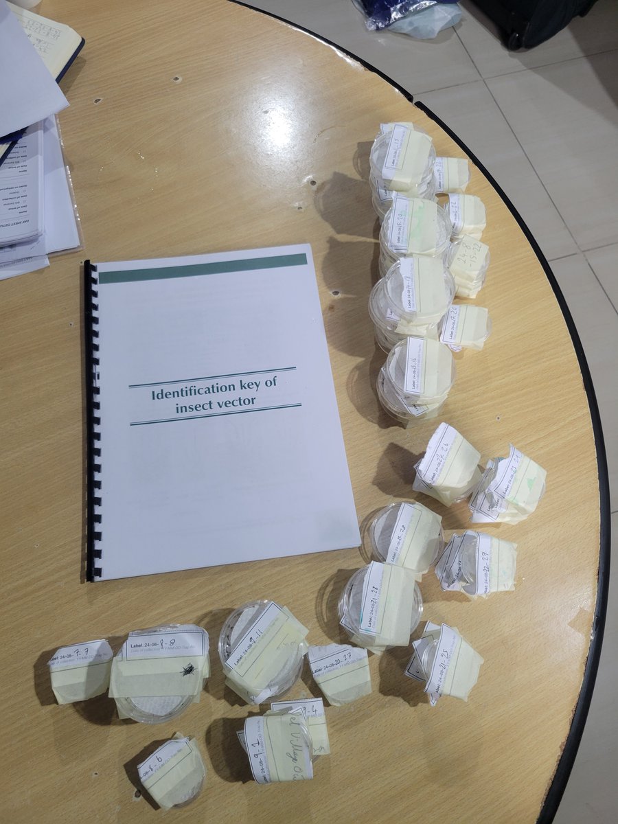 Erin Johnston tweet media