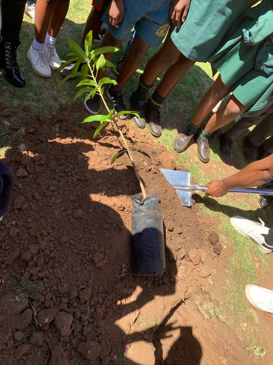 Getting our hands dirty 🤲🏿🌱 <a href="/JoburgParksZoo/">JoburgParksZoo</a> 

I appreciate the kind invitation from Mr. Nathi Mvula and the Johannesburg Zoo staff. As a <a href="/missearth_sa/">Miss Earth South Africa</a>  delegate, it was an amazing opportunity to plant trees and interact with school pupils in honour of Arbour Week.

#Missearthsa