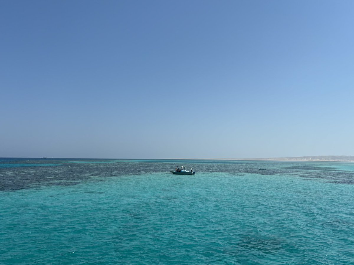 Just chillin’ ❤️