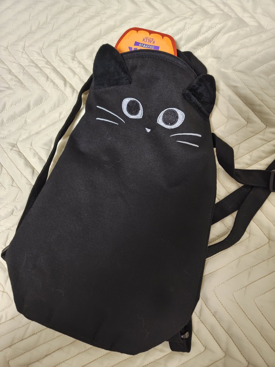 az4sd's tweet photo. 今日は信越化学のみちょぴっとだけ買えて満足😄
カルディで二ヤップザックも買えたので大満足😄 https://t.co/rDSQ9BG58b