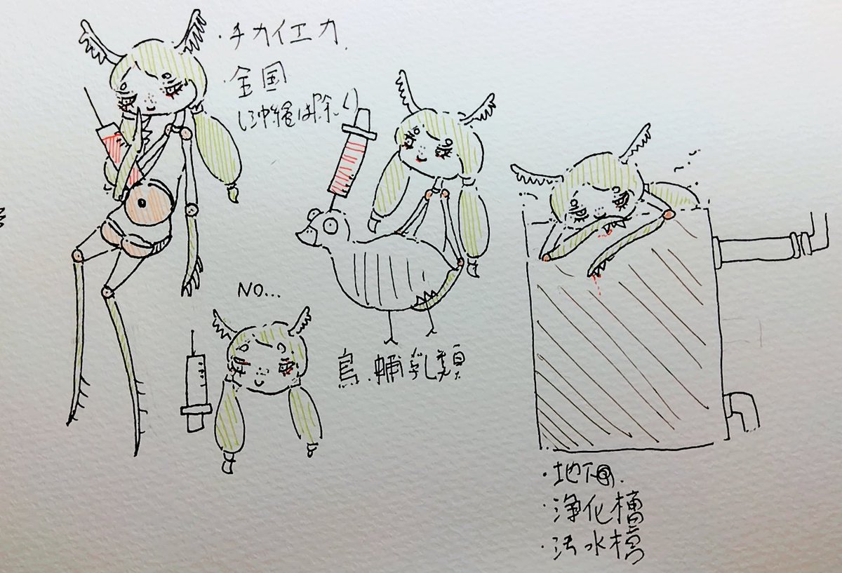 チカイエカ。
・北海道から九州
地下水域や浄化槽、排水槽
・無血産卵
・鳥や哺乳類
・日没後に行動
・冬季も休眠しない