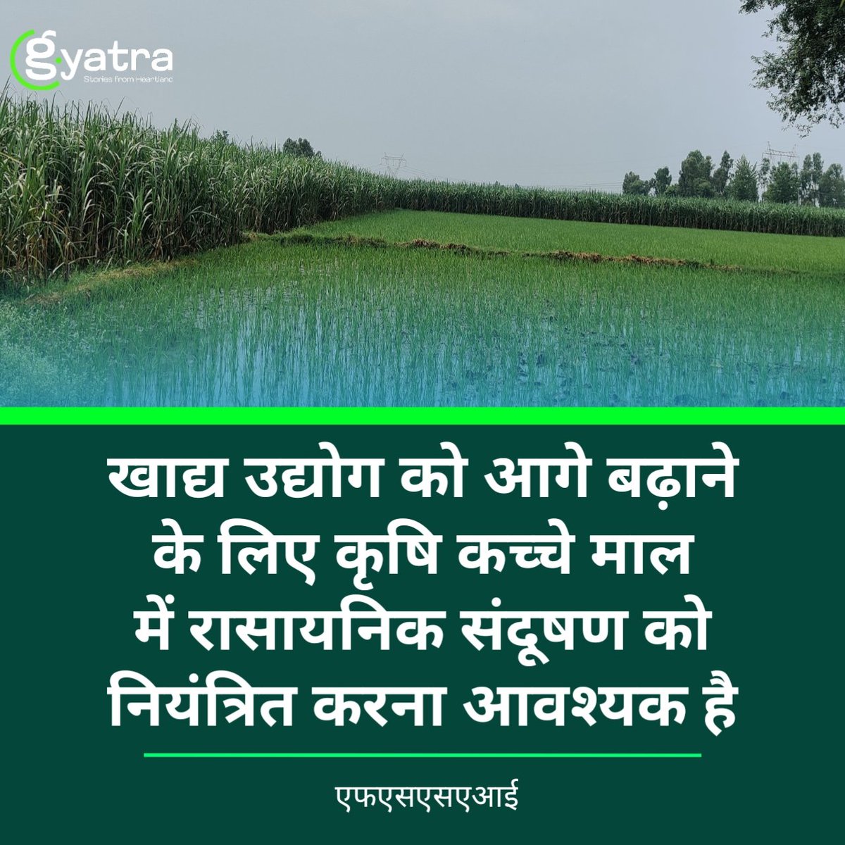 Gaon_Yatra's tweet photo. भारतीय खाद्य सुरक्षा एवं मानक प्राधिकरण (एफएसएसएआई) ने शनिवार को कहा कि खाद्य उद्योग को आगे बढ़ाने के लिए कृषि कच्चे माल में रासायनिक संदूषण को नियंत्रित करना आवश्यक है। https://t.co/oohy7jSU0N