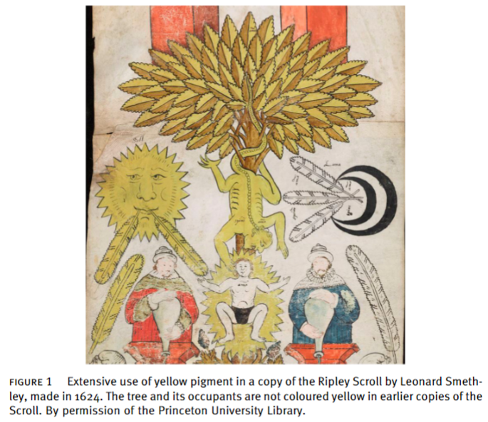 Paul Naish tweet media