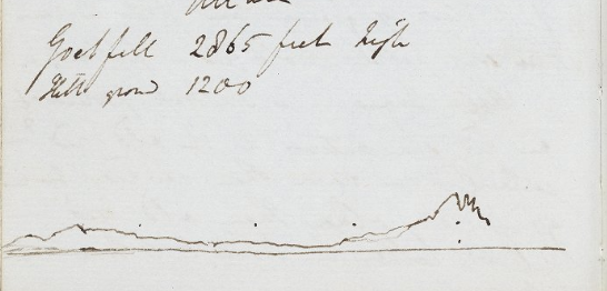 Lyell Time tweet media