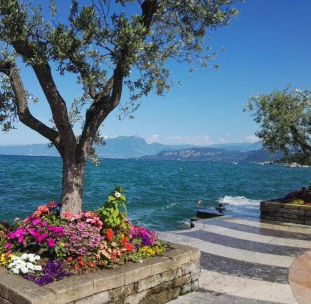 irlandese67's tweet photo. Cercavano sole e, forse oggi, l'hanno trovato.
#buongiornocosì
#buonlunedi
#oggilago
#finalmentesole
#freddino
#unodeimieipostipreferiti https://t.co/rnLKE07yh2