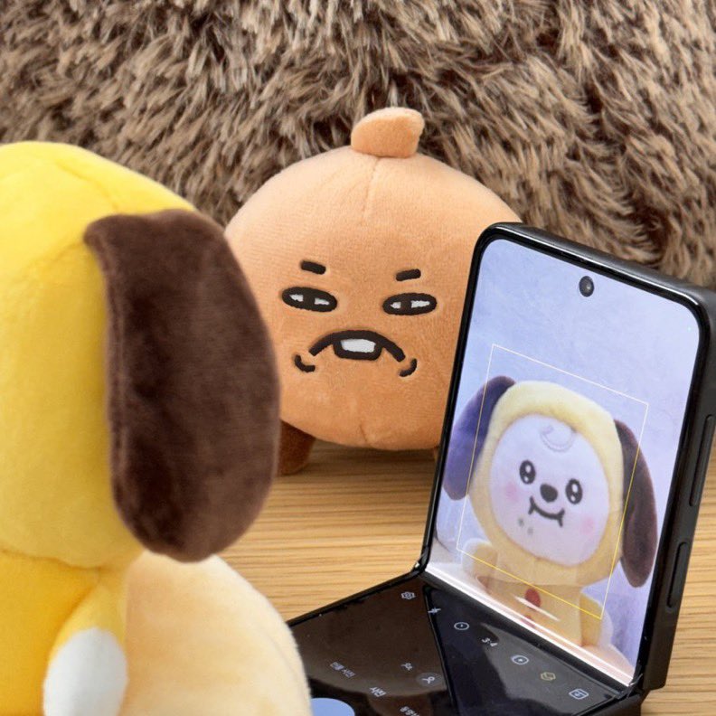 myglight's tweet photo. 🤎💛 https://t.co/7FKHAWhQDH
