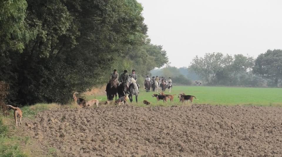 York Anti-Hunt League tweet media