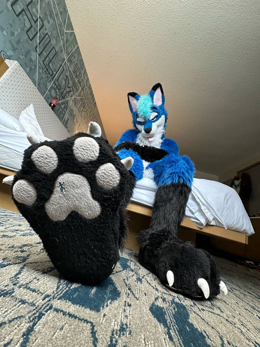 AtuFox's tweet image. It's #Steptember and #MacroMonday today. I invited @ovenotter to hang out and he said he was already here but I can't find him anywhere 🤔

📸: @ovenotter