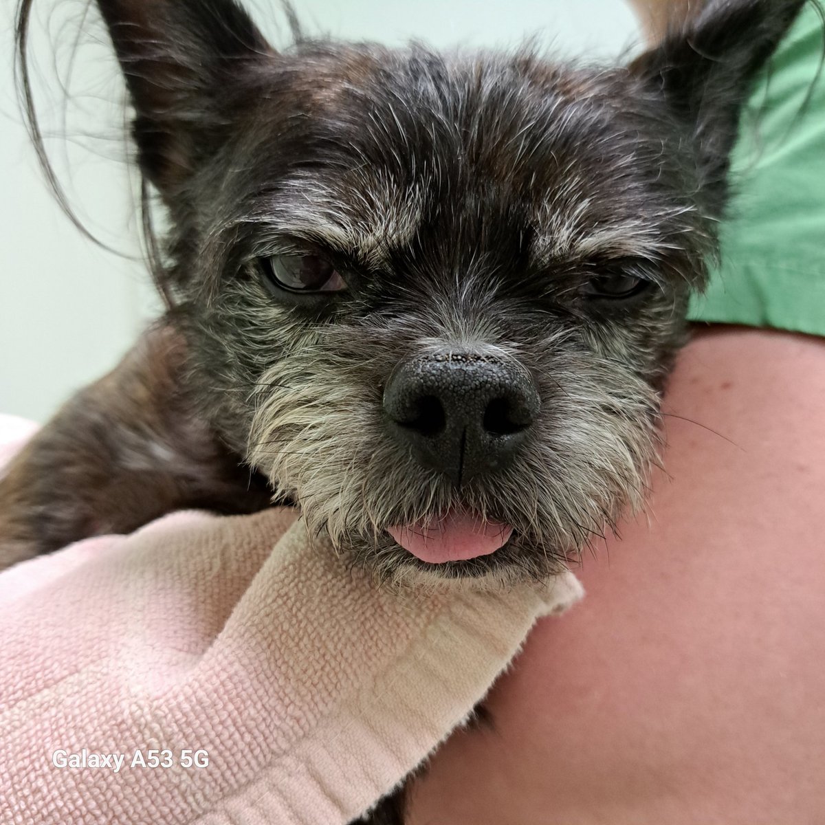 Tillin tallin titityy kamut! Tässä mä olen menossa leikkaussaliin. Ne anto jonku piikin ja sit päässä pyöri, eikä kielikään pysynyt suussa.
Kolme luomea otettiin ja lähetettiin patologille.
Oon edelleen löysänpuoleinen. 
Muorillakin meinas alaleuka löystyä, kun maksoi laskun. 🤕