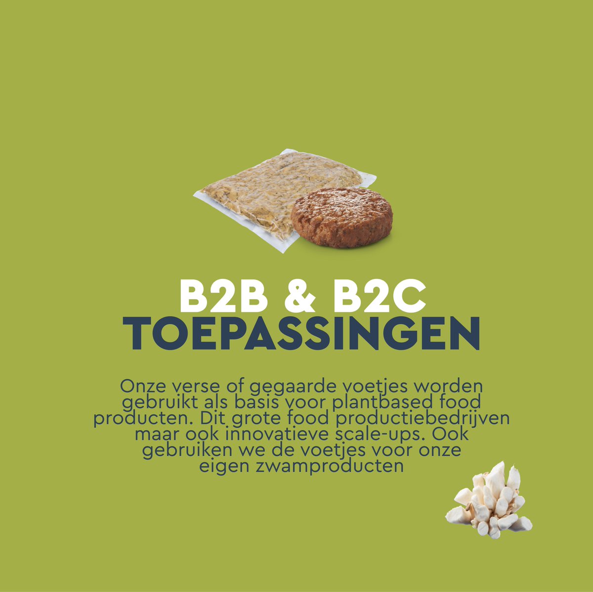 Bij <a href="/Beefy_Green/">BeefyGreen</a> gaan we van waste naar taste door de steeltjes van oesterzwammen te upgraden.

Zo gaan we van voorheen verspilde grondstof naar kwalitatief hoogwaardige B2B ingrediënten voor toepassing in food producten. 

Meer weten?
beefygreen.nl