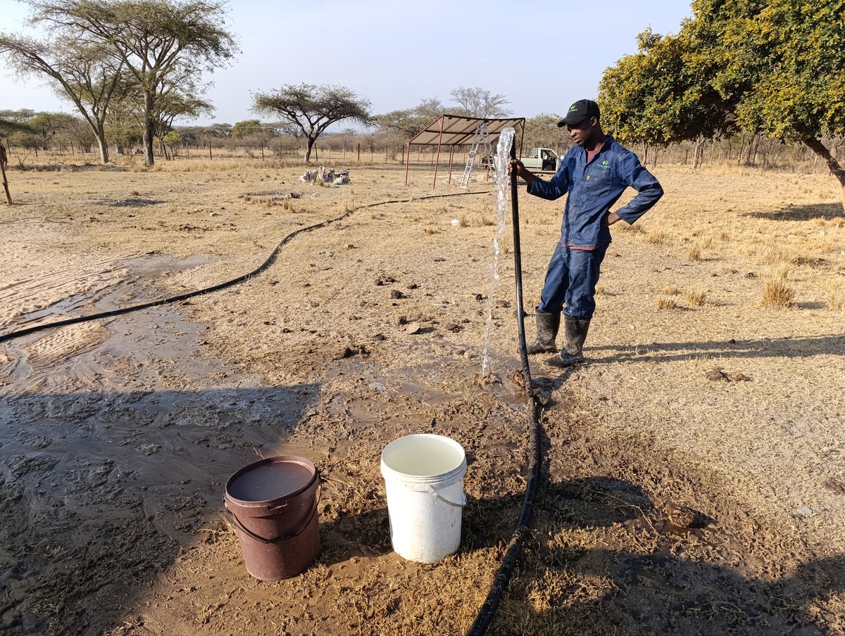Shingie_Precise's tweet photo. Solar Water System in πHwedzaπΏπΌ. Bringing smiles π. Its important to test water discharge after an installation, so that you determine overall system efficiency.
#solarpower #pumpinstallations @preciseagri https://t.co/Wcedoh08gT