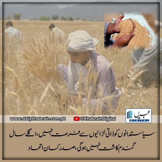 daily_khabrain's tweet photo. سیاستدانوں کو ذاتی لڑائیوں سے فرصت نہیں، اگلے سال گندم کاشت نہیں ہو گی ، صدر کسان اتحاد
https://t.co/hiXUf0hb2X
Tap on the link to read full story 📷
#khbraindigital
#politicians
#donthave
#personalfights
#wheat
#cultivated
#nextyear
#President https://t.co/Iq94qc6nL9