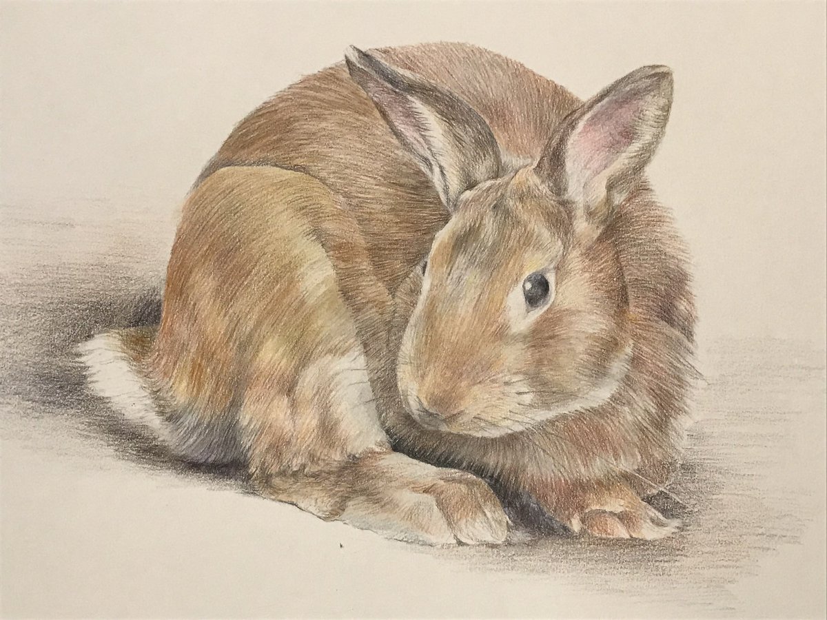 art #色鉛筆画 #colorpencilart F4 色鉛筆