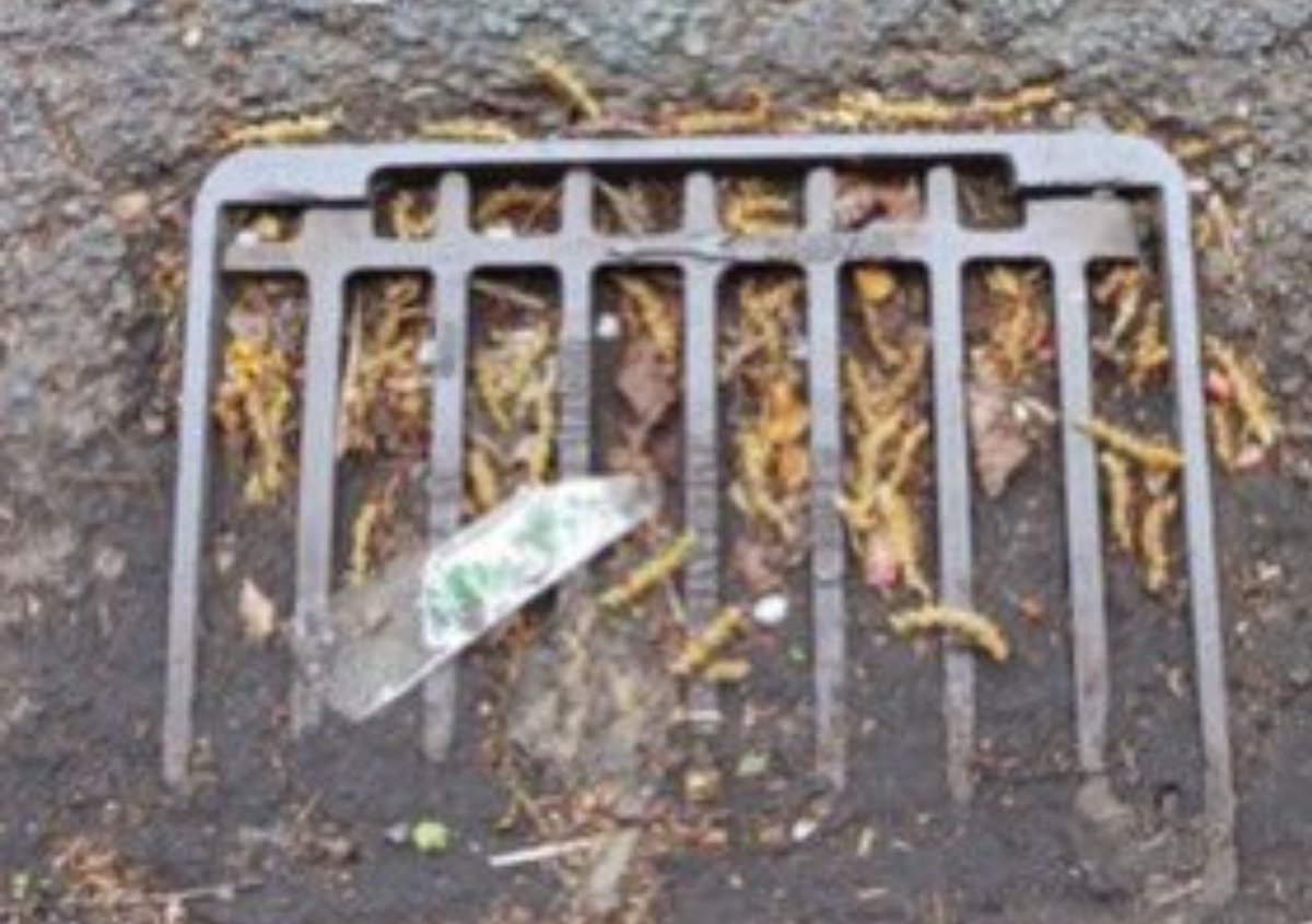 🇬🇧 Legacy Media BBC - ‘Flash Flooding is Biblical’

Also Councils up &amp; down the Country have purposely neglected clearing their drains.

Why? 

Well it’s simple - when everywhere starts flooding they can blame it on The Climate Change Scam.