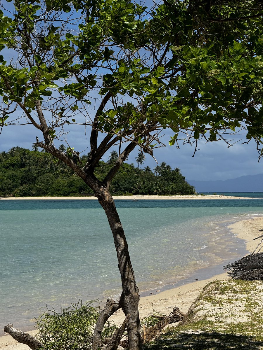 bernysaur's tweet photo. Here are the photos (&amp; vid) sa new site 🏝️ https://t.co/AvCs1JNEmk