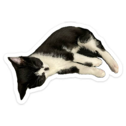 RabbitonBooks tweet media