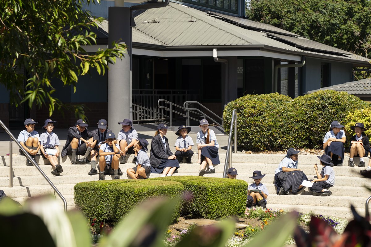 sheldoncollege tweet media