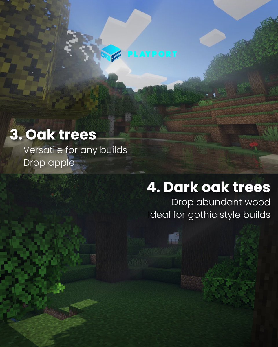 PlayportServer's tweet image. Minport telah mengurutkan pohon terbaik di Minecraft, dari yang terbaik hingga yang biasa saja. Fokuslah menebang pohon yang lebih bermanfaat dan rewarding! ⛏️🍃

#MinecraftGuide #GamerLife #Playport #MinecraftIndonesia #Gaming #ServerGaming #Minecraft #GameOn #ServerAman #Server