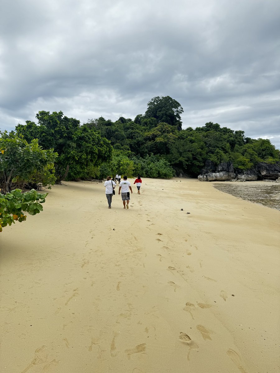bernysaur's tweet photo. Here are the photos (&amp; vid) sa new site 🏝️ https://t.co/AvCs1JNEmk