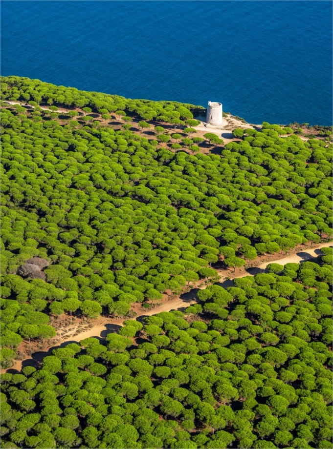 Turismo de la provincia de Cádiz tweet media