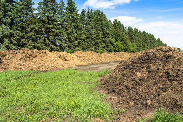 GreenProtocolNG's tweet image. Manure management in agriculture contributes to methane emissions. Using anaerobic digesters, we can capture methane and turn it into renewable energy. Sustainable farming is the future! #AgriTech #RenewableEnergy #MethaneSolutions

Photo: from iStock