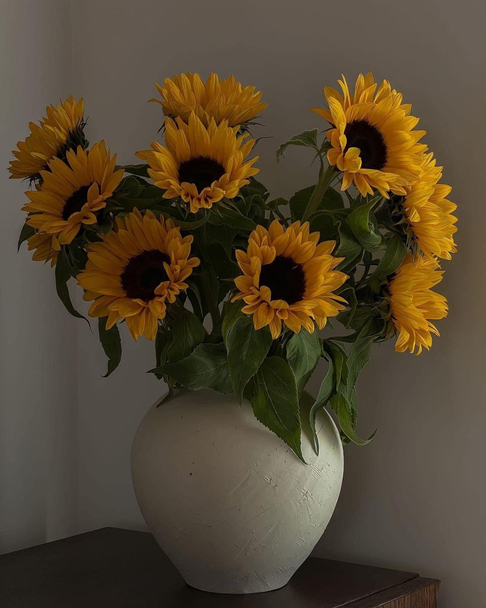 sunflowerchives's tweet photo. sunflowers https://t.co/OE9xk6Ncf9