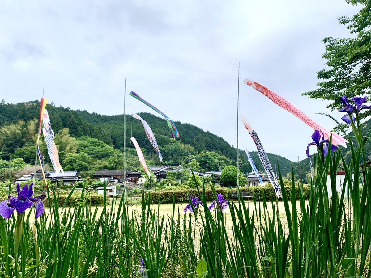jishuren_kuma's tweet photo. 【募集】
球磨川大空五色祭で使用する鯉のぼりを募集します。（無料・無償）
設置場所:熊本県八代市坂本町
設置期間:４月下旬〜５月上旬
応募方法:DMにてお知らせください
※募集要項を必ずお読みください

#八代市坂本 #令和２年7月豪雨 #九州自主練 #幡再　#球磨川大空五色祭 https://t.co/qX9gTF7KAj