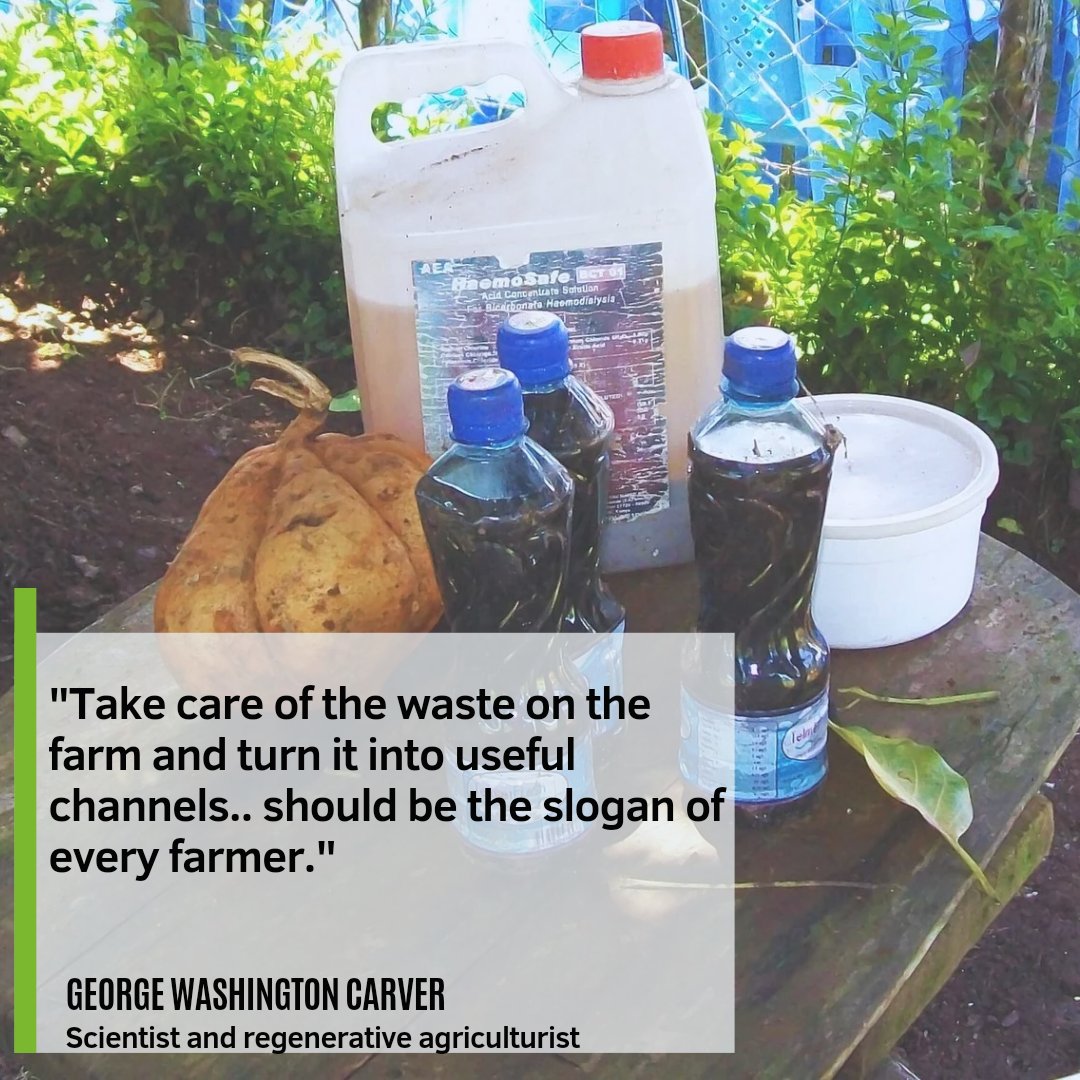 SOCAA Advocacy tweet media