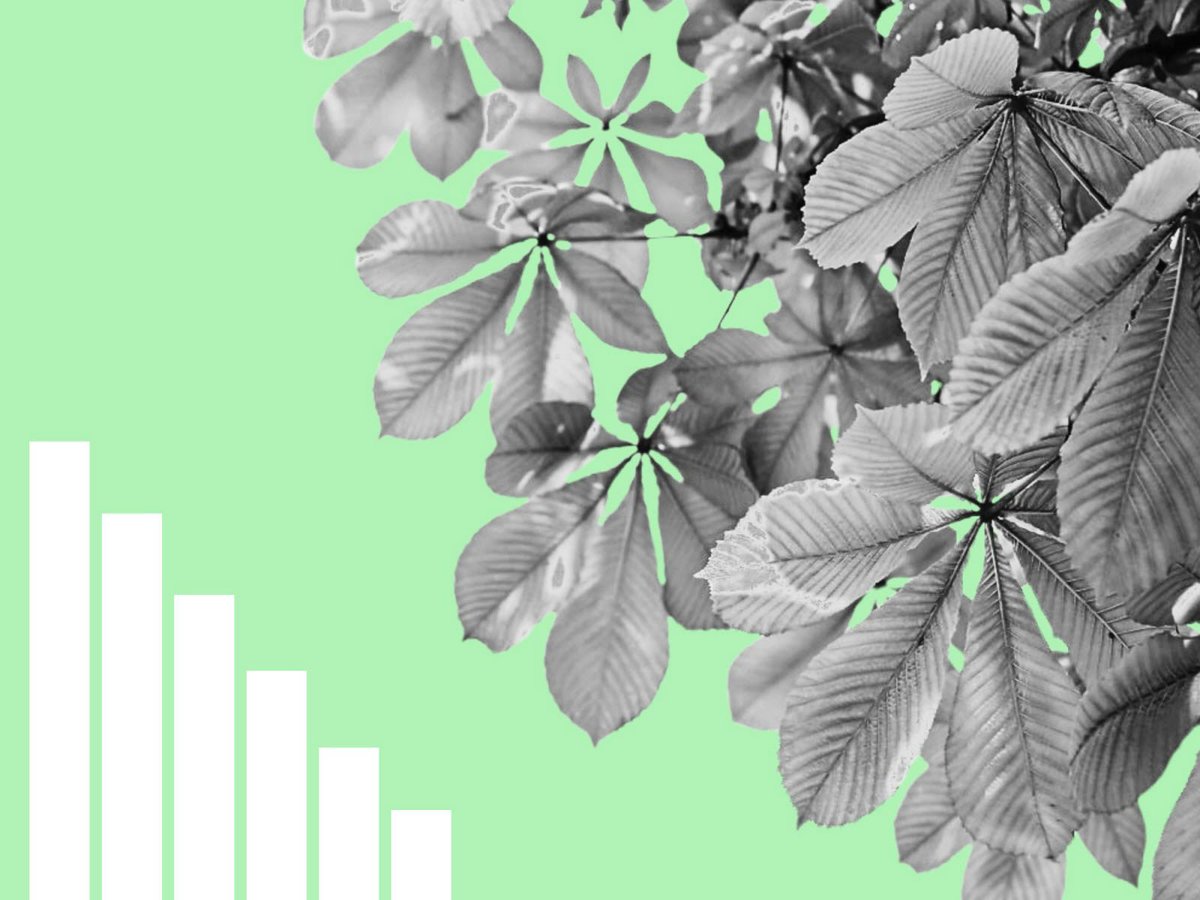 📊Végétalisation des espaces urbains : découvrez les villes les plus arborées :
🌳Lorraine ➡️ bit.ly/47i0icO
🌳Franche-Comté ➡️ bit.ly/4gbej05
La végétation en milieu urbain réduit de 5°C la température selon l'Ademe.