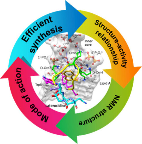 Svetlana Tsogoeva (@tsogoeva_group) on Twitter photo Check out a new excellent #DiamondOpenAccess
<a href="/ACSCentSci/">ACS Central Science</a> article "Exploring Structure–Activity Relationships and #ModesOfAction of #Laterocidine" by Jian Li, <a href="/DrNitinAPatil/">Nitin patil</a> and co-workers <a href="/MonashResearch/">Monash Research</a>
pubs.acs.org/doi/10.1021/ac… Check out a new excellent #DiamondOpenAccess
<a href="/ACSCentSci/">ACS Central Science</a> article "Exploring Structure–Activity Relationships and #ModesOfAction of #Laterocidine" by Jian Li, <a href="/DrNitinAPatil/">Nitin patil</a> and co-workers <a href="/MonashResearch/">Monash Research</a>
pubs.acs.org/doi/10.1021/ac…