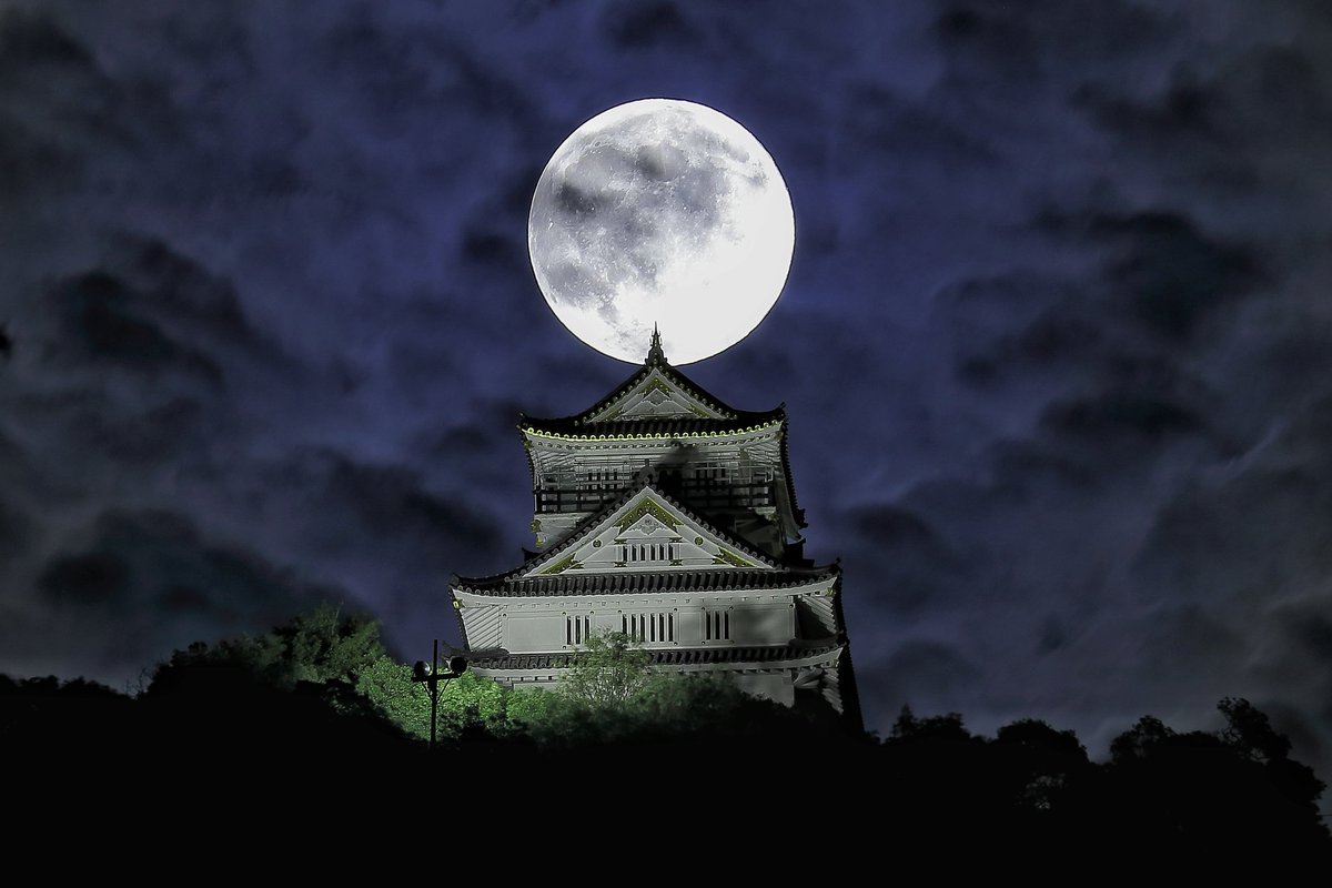 10年前の今日、初めて撮った月城。
当時の機材では苦労したけど、撮れた時は嬉しかったな。
もう5年くらい撮ってないけど😇

2014/9/9 撮影