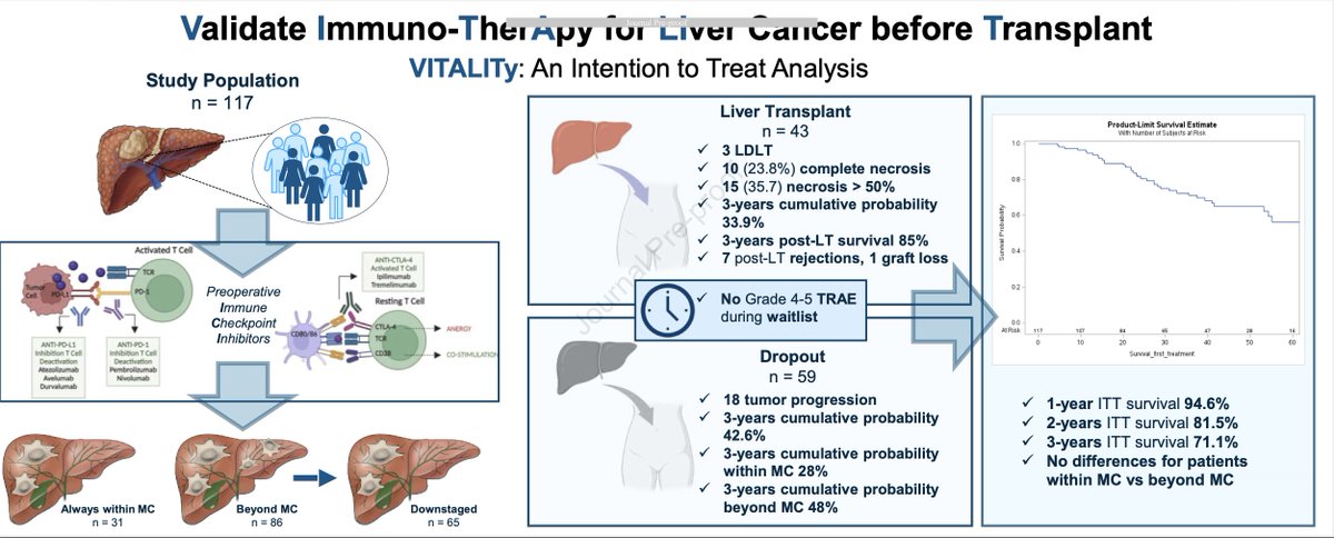 Arndt Vogel (@arndtvogel) on Twitter photo ITT outcomes of pts with HCC receiving immunotherapy before liver transplant
<a href="/JHepatology/">Journal of Hepatology</a>
doi.org/10.1016/j.jhep…
🔎🇺🇸VITALITY study
👉86 pts
👉75.6% downstaged
👉36% LTx
👉3-year ITT OS 71.1%
👉 7 rejections, 1 graft lost
🧐More evidence to support ICI before LTx
<a href="/myESMO/">ESMO - Eur. Oncology</a> ITT outcomes of pts with HCC receiving immunotherapy before liver transplant
<a href="/JHepatology/">Journal of Hepatology</a>
doi.org/10.1016/j.jhep…
🔎🇺🇸VITALITY study
👉86 pts
👉75.6% downstaged
👉36% LTx
👉3-year ITT OS 71.1%
👉 7 rejections, 1 graft lost
🧐More evidence to support ICI before LTx
<a href="/myESMO/">ESMO - Eur. Oncology</a>