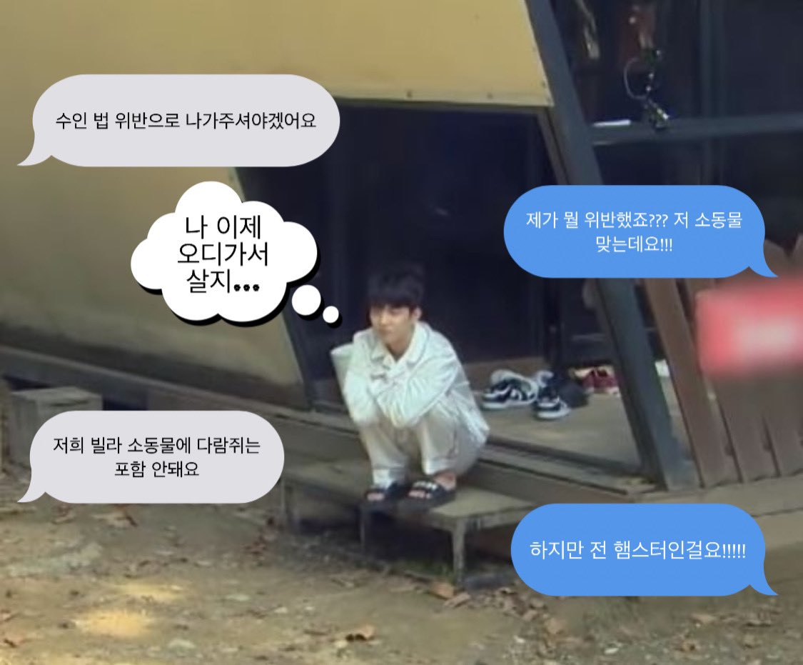 2muchtalker_'s tweet photo. #쥬큐 햄스터 날다 https://t.co/kNmSPu65w9