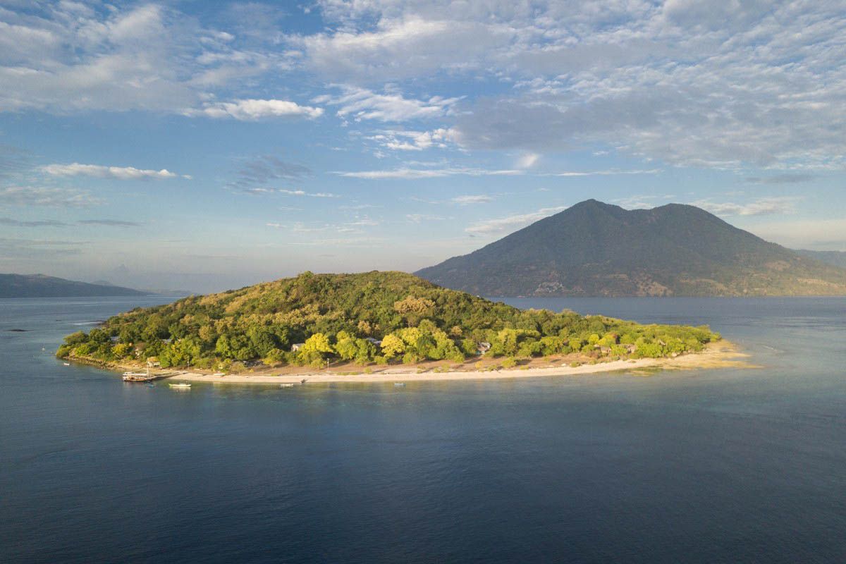 Diver_Travel's tweet photo. Emperor Divers has introduced a thrilling new itinerary which explores one of Indonesia’s last diving frontiers 

⛴ 🤿 👉  https://t.co/r9nFa8UTKv https://t.co/twNtgcvQJB