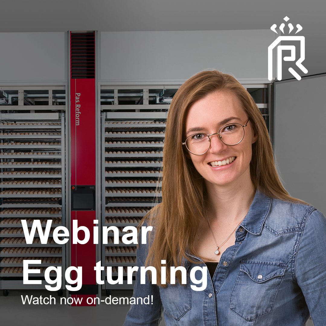PasReform's tweet photo. Learn more about the specific strategies that Pas Reform Academy recommends regarding egg turning! How egg turning affects the embryonic development of the chick, how to setup for optimal turning and recognizing turning problems. https://t.co/1UGZIBnGPj https://t.co/oWX8lbCVn2