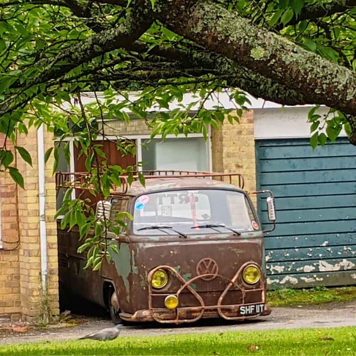 Monday morning vibes.