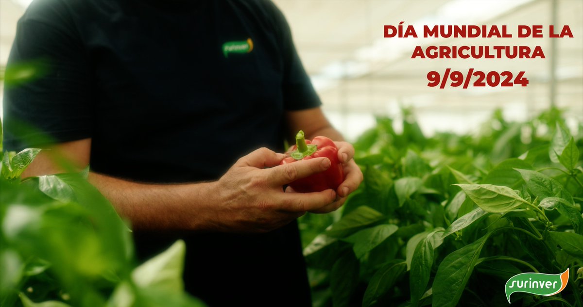 Surinver tweet media